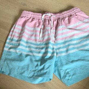 Chubbies Pink and Blue Swim Shorts